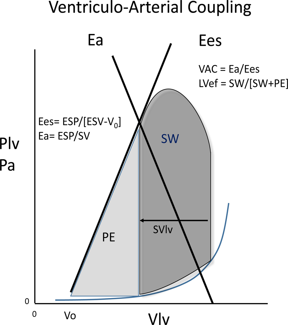 Fig 1.