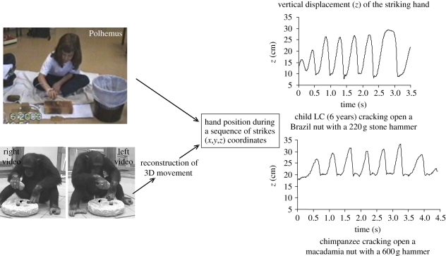 Figure 4.