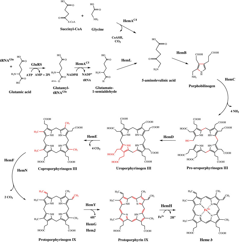 Fig. 3