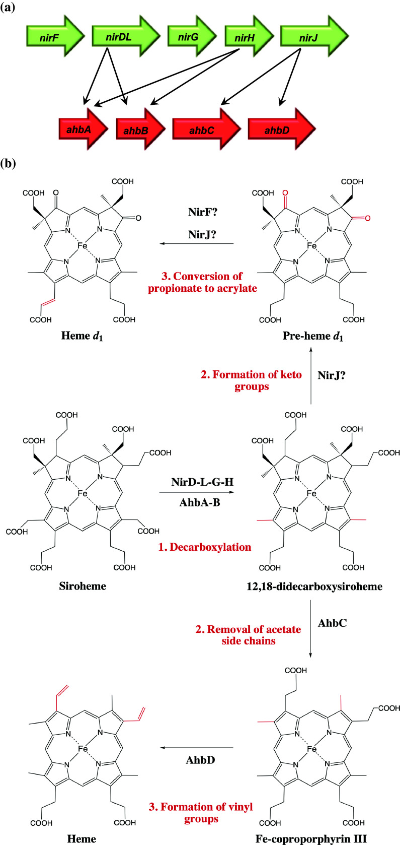 Fig. 7