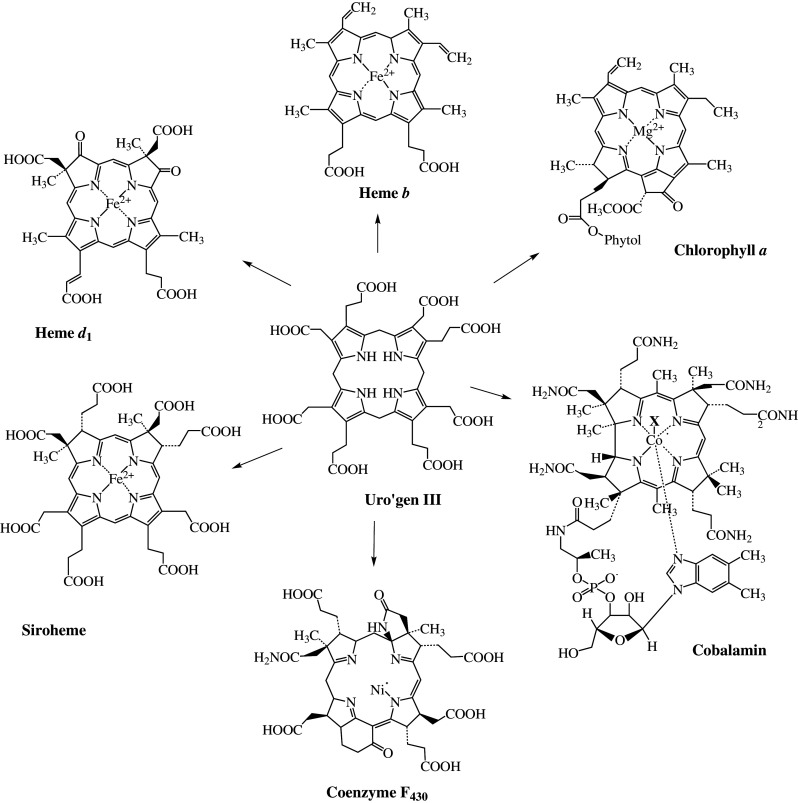 Fig. 1