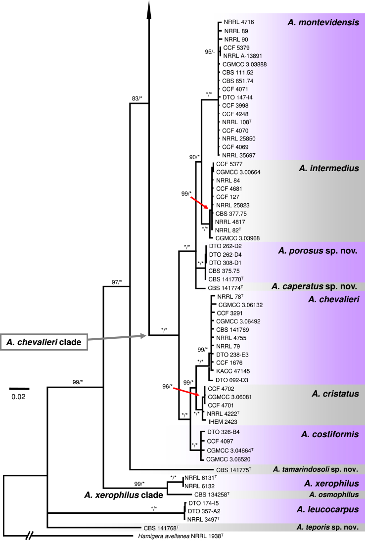 Fig. 1