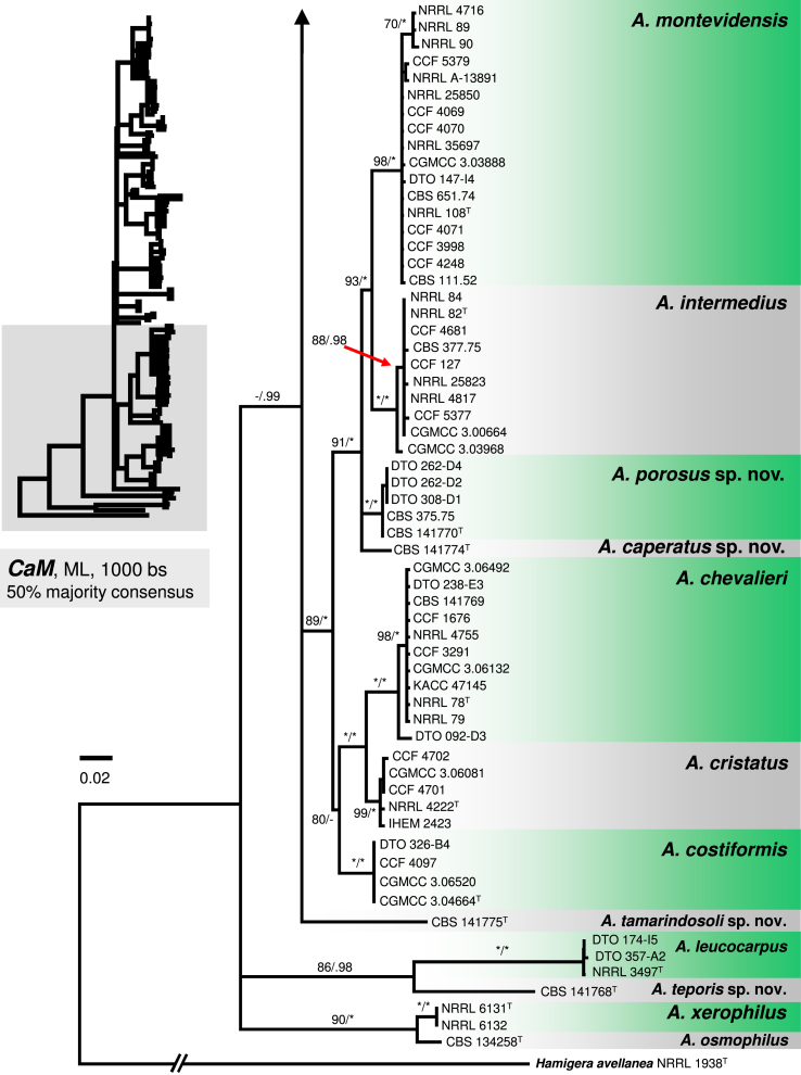 Fig. 3