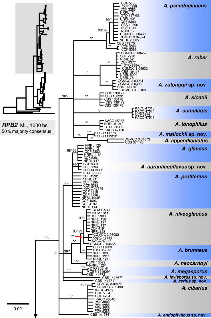 Fig. 4