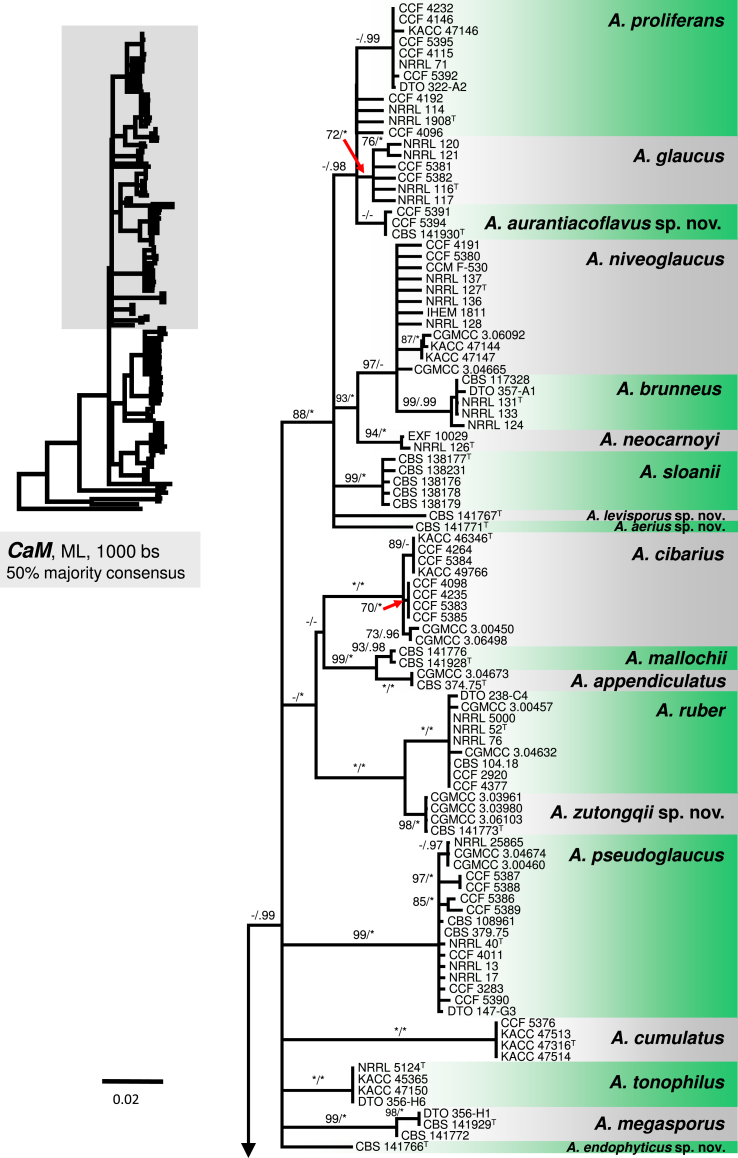 Fig. 3