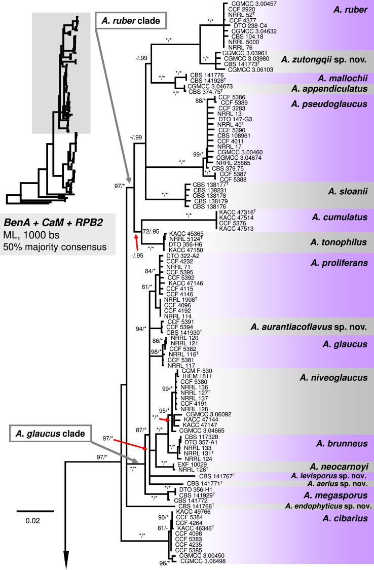 Fig. 1