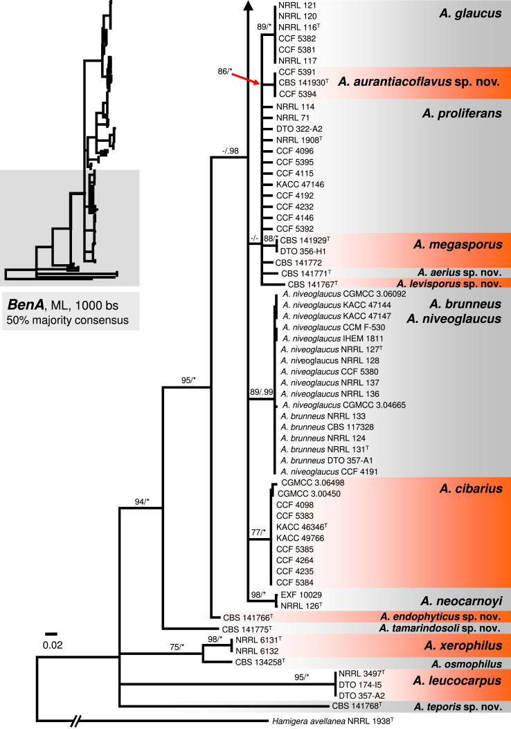 Fig. 2