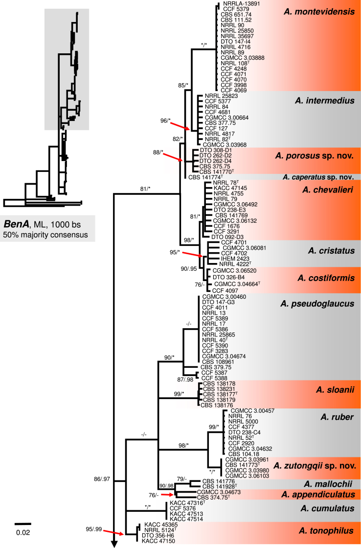 Fig. 2