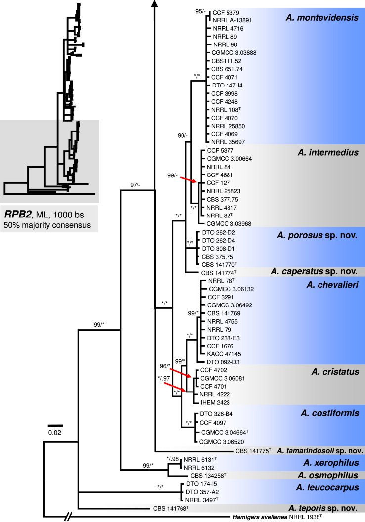 Fig. 4