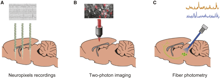 Figure 2