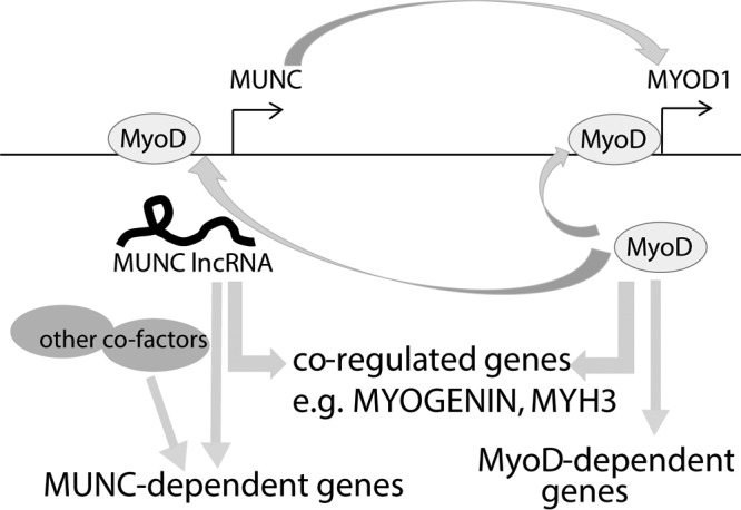 FIG 10