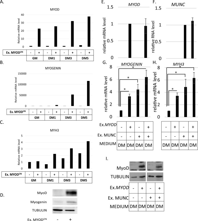 FIG 6