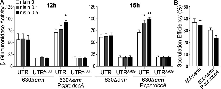 FIG 4