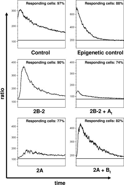 FIG. 7.