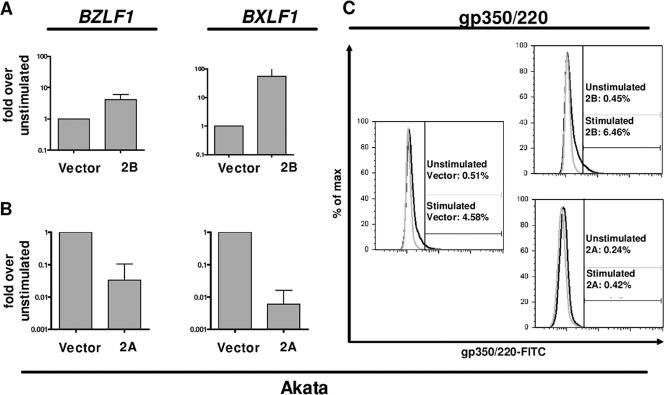 FIG. 2.