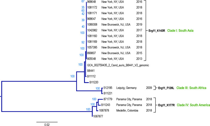 FIG 1