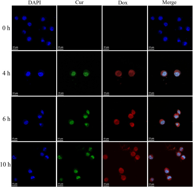 FIGURE 10