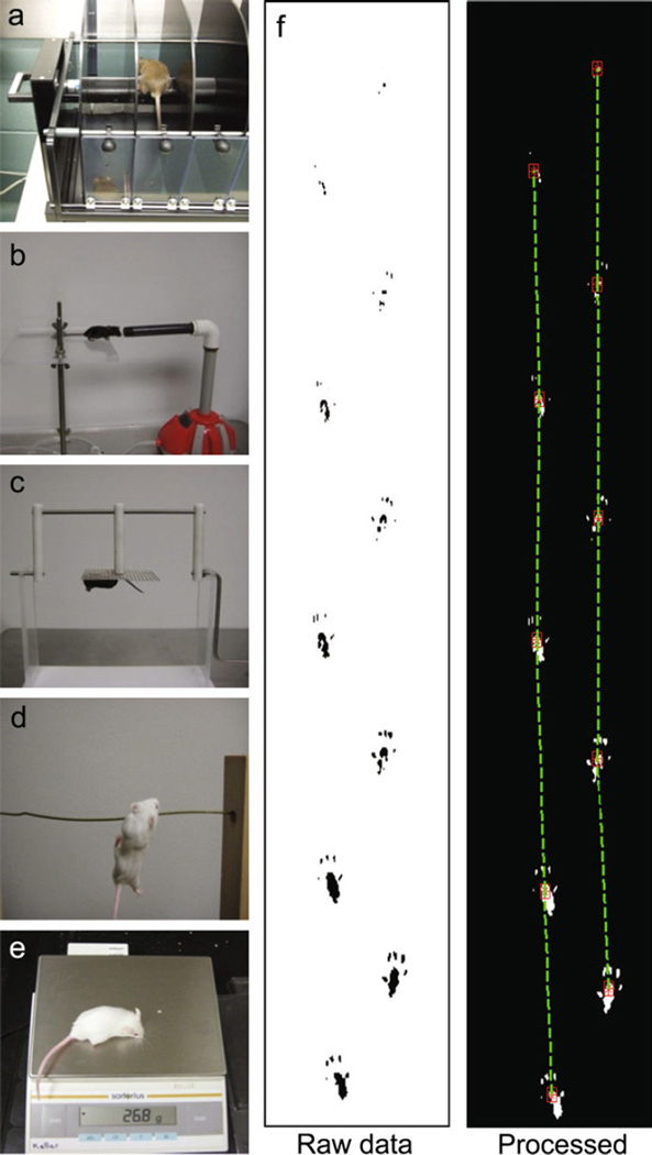 Fig. 1