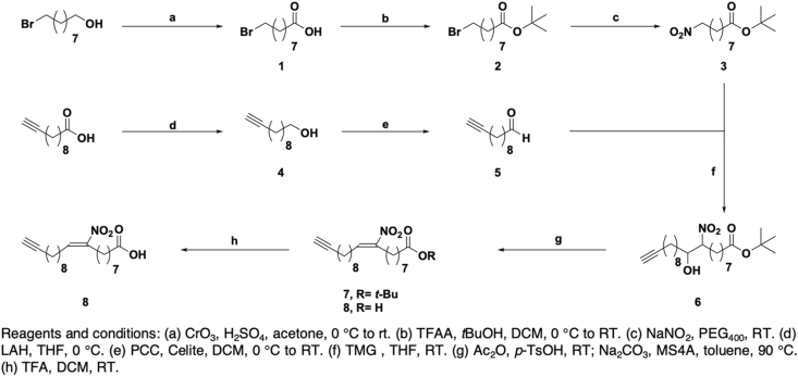 Scheme 1