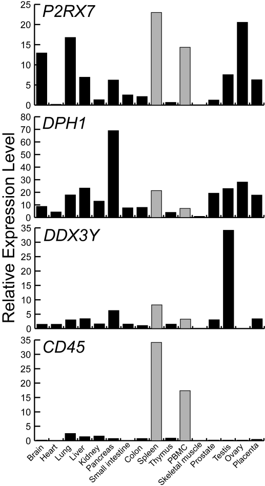 Figure 5