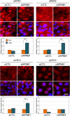 Figure 1—figure supplement 2.