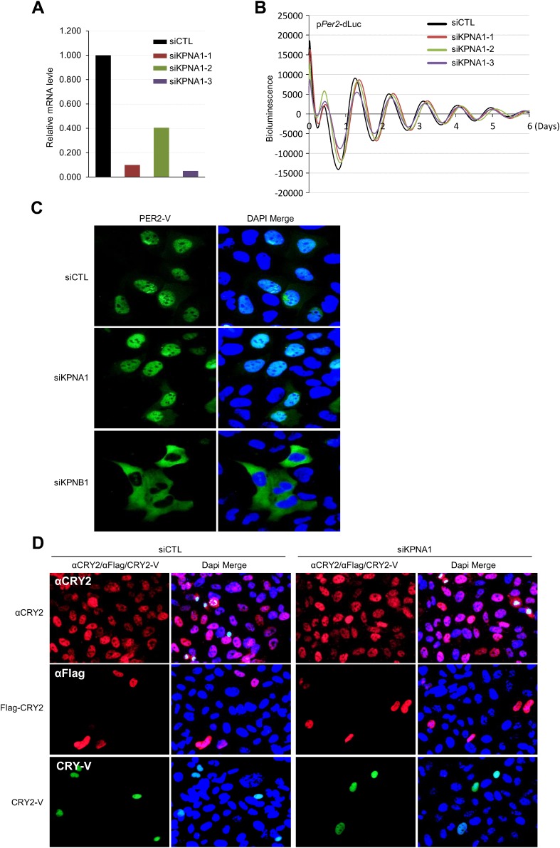 Figure 4—figure supplement 3.