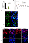 Figure 4—figure supplement 3.