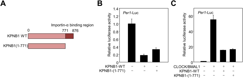 Figure 3—figure supplement 2.