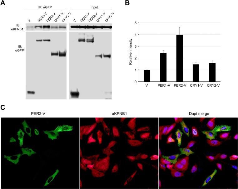 Figure 2—figure supplement 1.