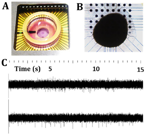 Figure 7.