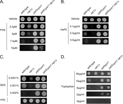 FIGURE 2.