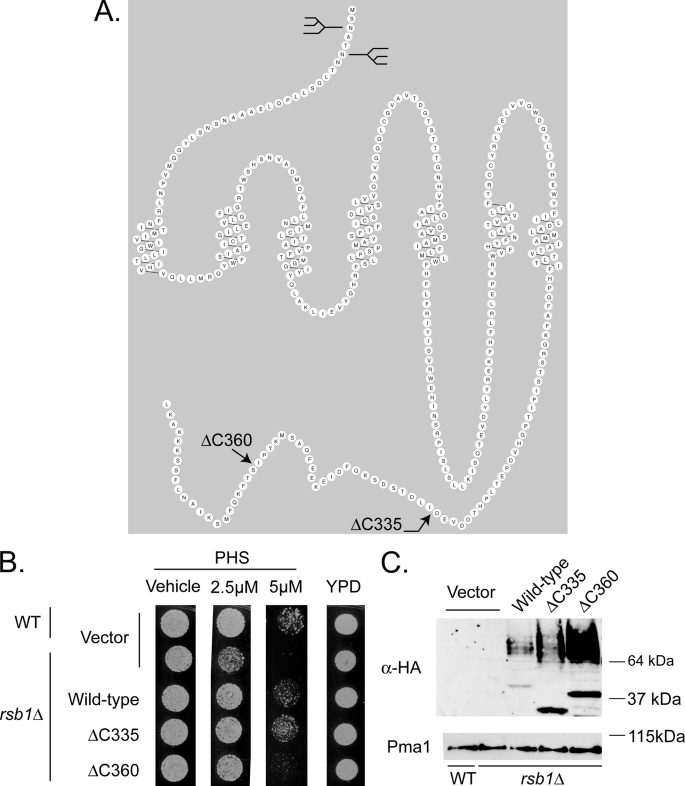 FIGURE 9.