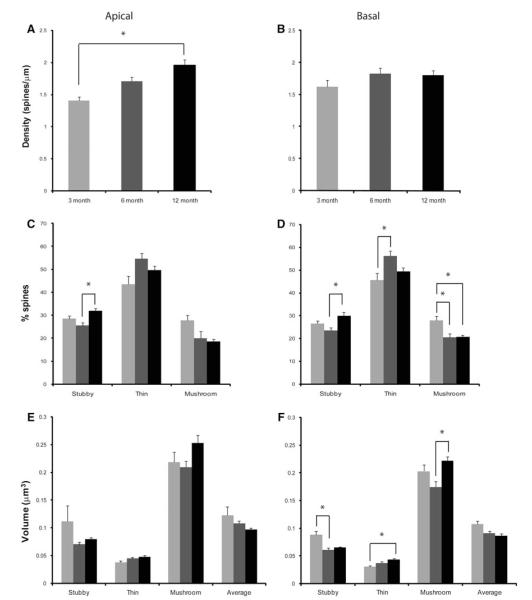 Fig. 11