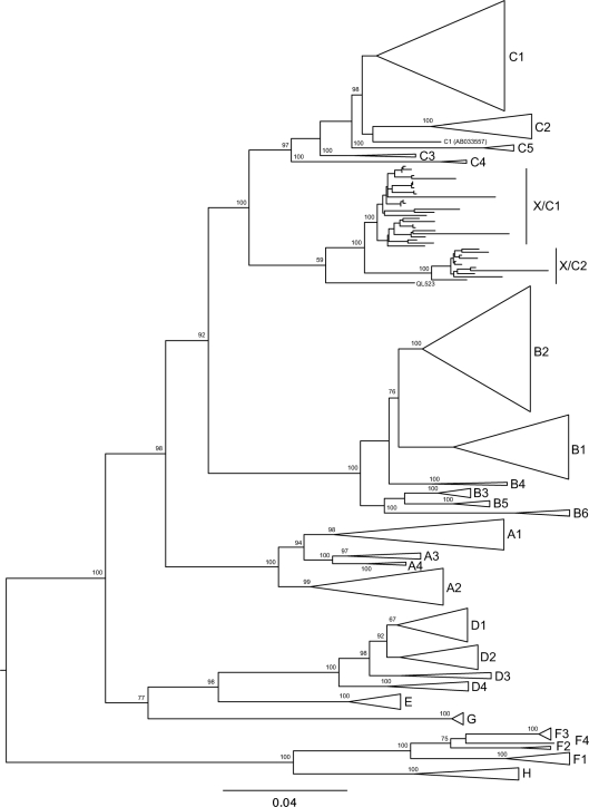 Fig. 1.