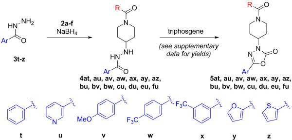 Scheme 2