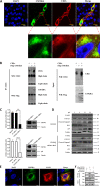 FIG 9
