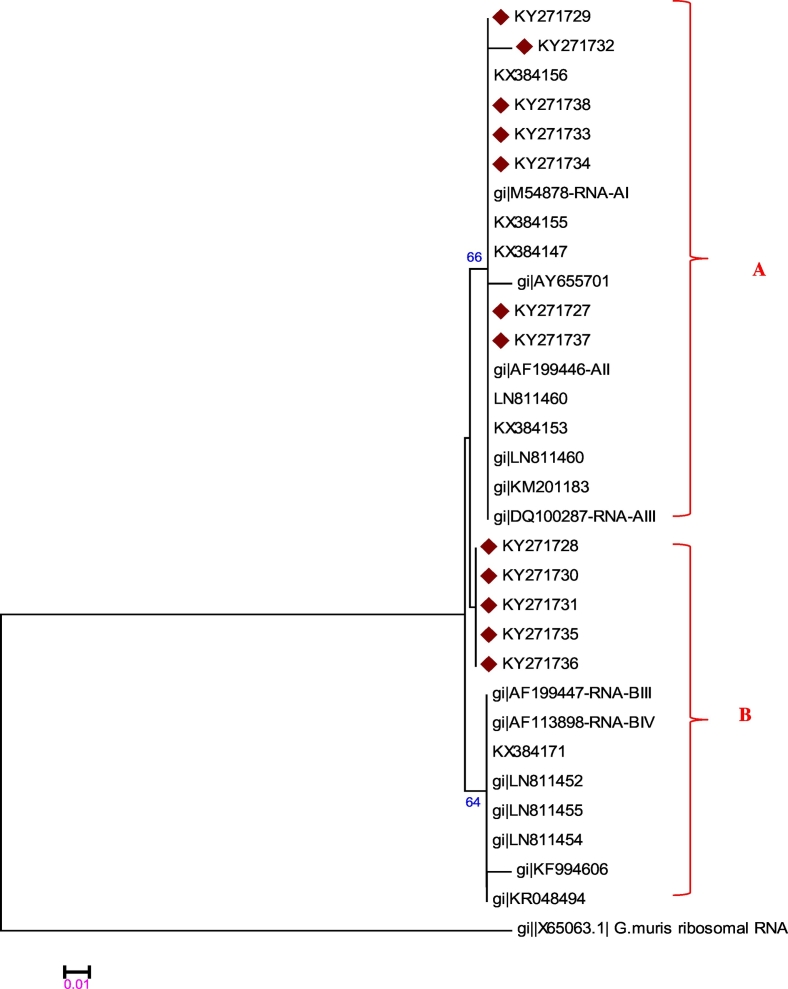 Fig. 2