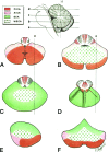 Fig 2.