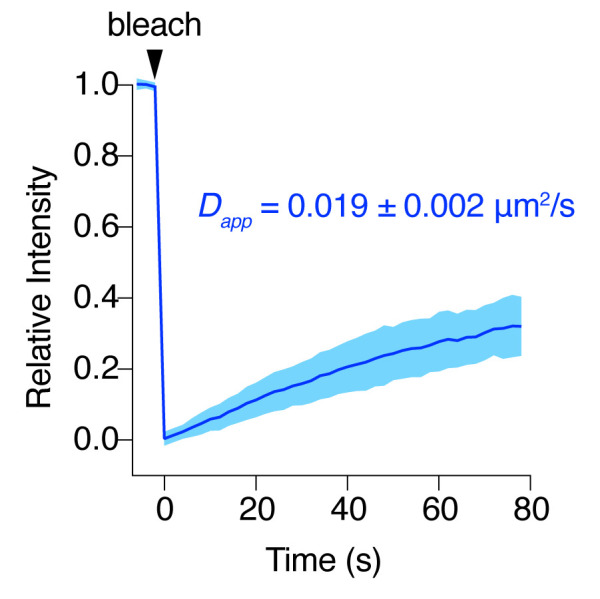 Figure 3—figure supplement 3.