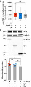 Figure 2—figure supplement 3.