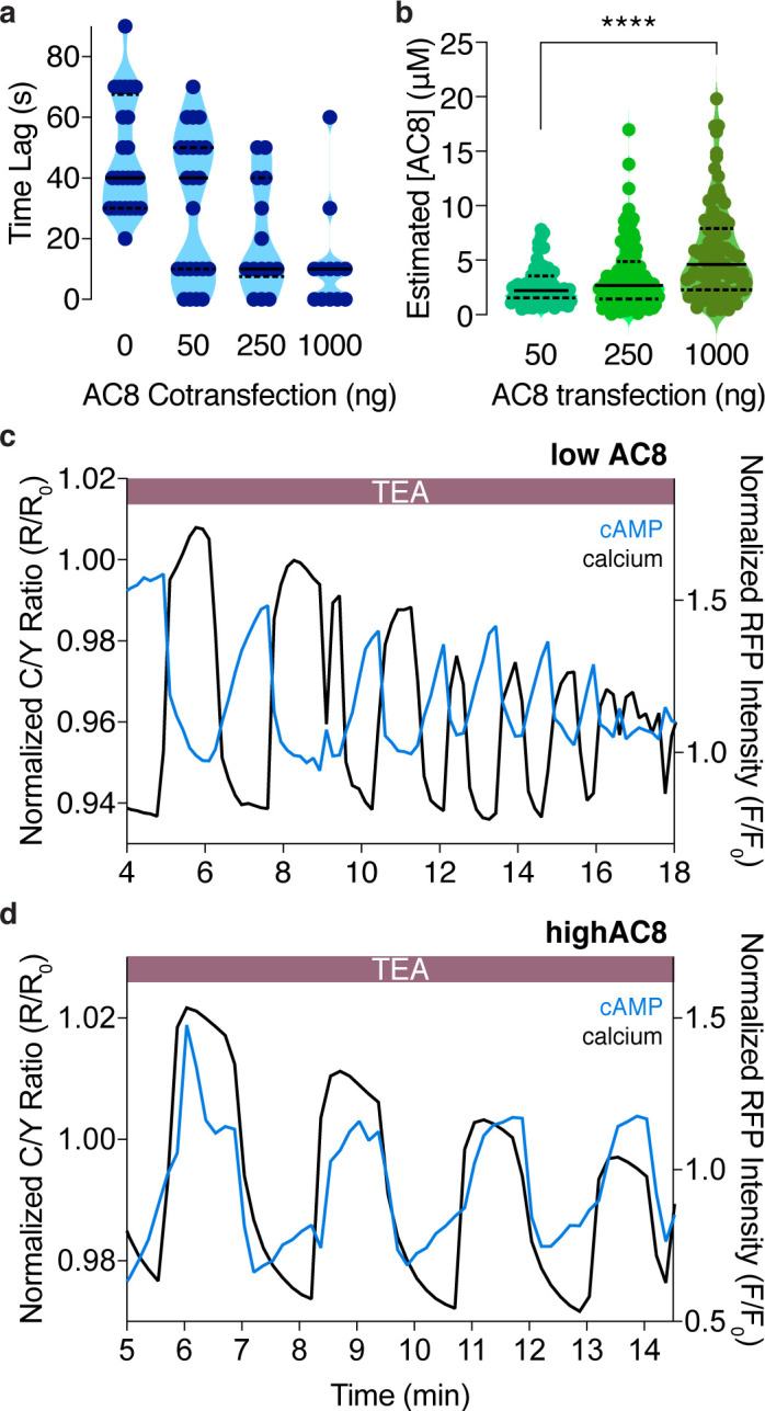 Figure 2—figure supplement 2.