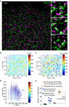 Figure 3—figure supplement 2.