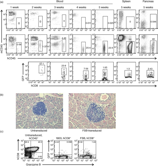 Fig 6