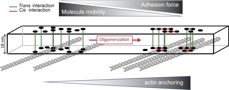 Figure 9.