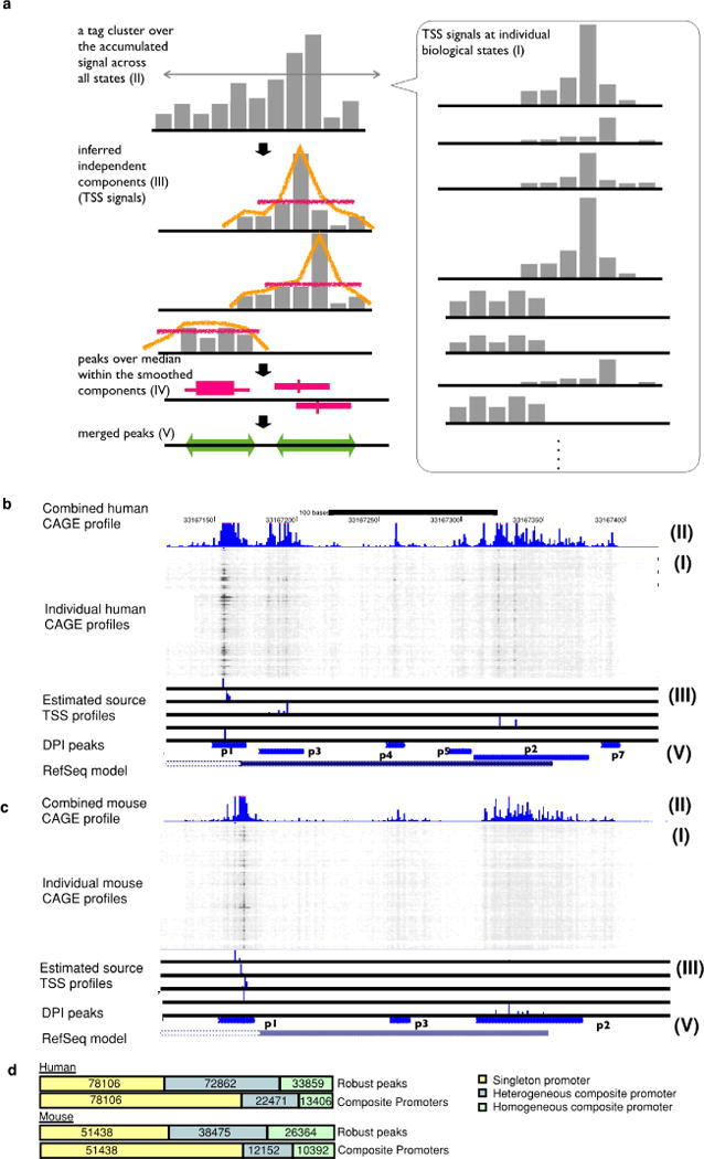 Extended Data Figure 1