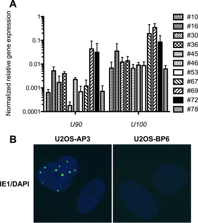 FIG 3