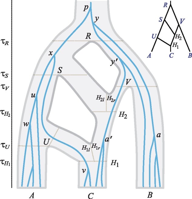 FIg. 2.