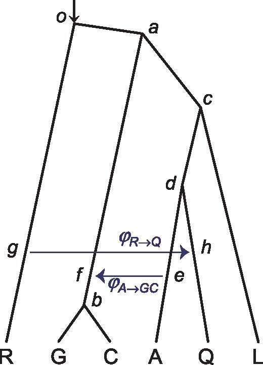 FIg. 5.