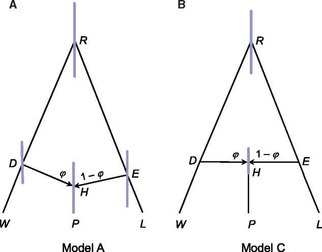 FIg. 3.