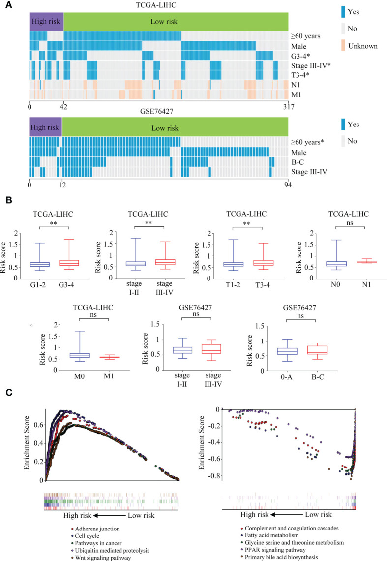 Figure 11